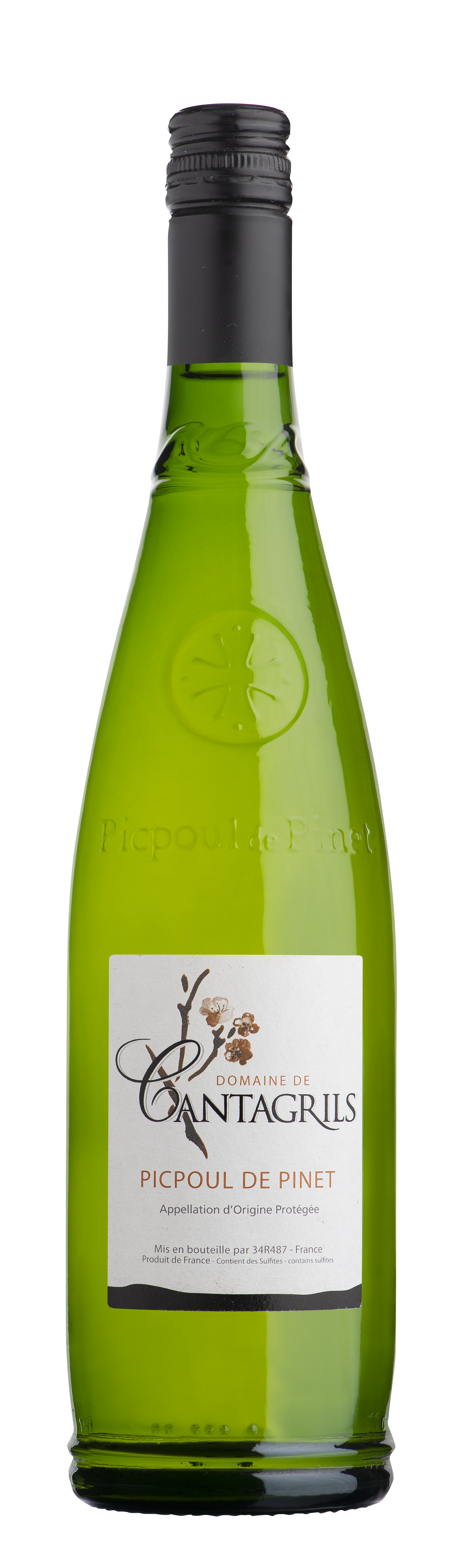 Picpoul de Pinet, Domaine de Cantagrils 2023 - Just Wines 