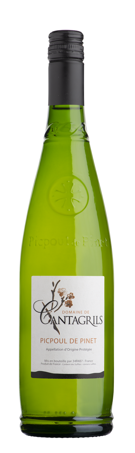 Picpoul de Pinet, Domaine de Cantagrils 2023 - Just Wines 