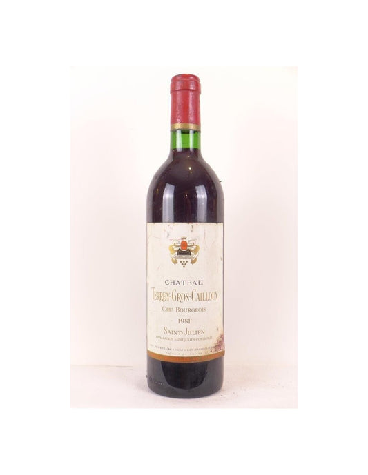 1981 - saint-julien - château terrey-gros-cailloux cru bourgeois - rouge - bordeaux - Just Wines 