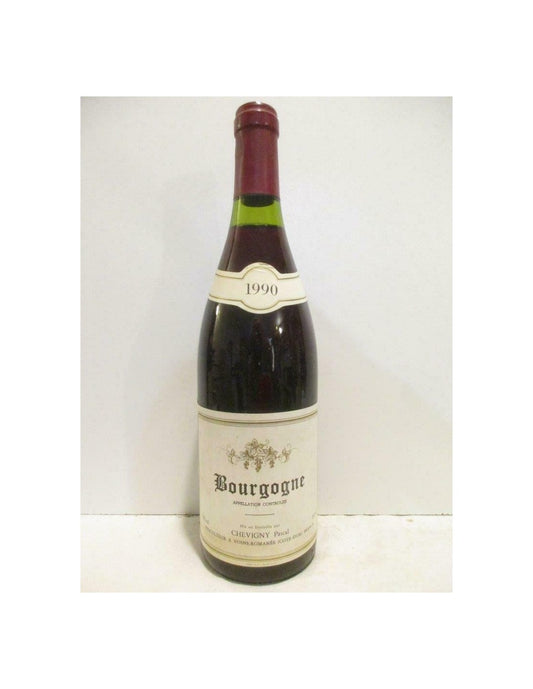 1990 - bourgogne - pascal chevigny - rouge - bourgogne - Just Wines 