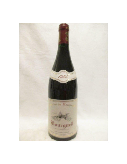 1995 - bougueil - domaine du rochouard - rouge - loire - touraine - Just Wines 