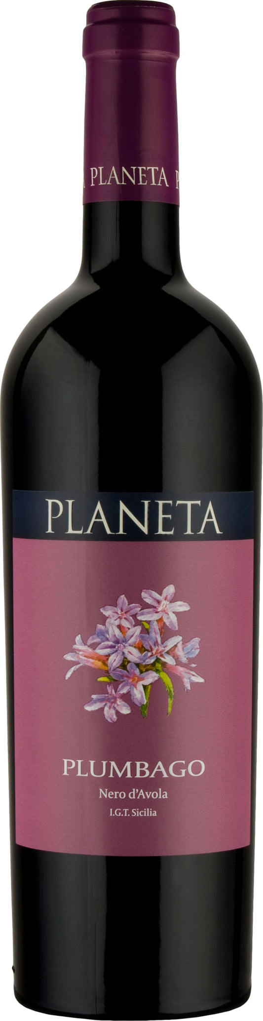 Planeta Nero d'Avola 'Plumbago' 2021 75cl - Buy Planeta Wines from GREAT WINES DIRECT wine shop