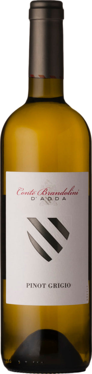 Brandolini Pinot Grigio DOC Friuli 2021 6x75cl - Just Wines 