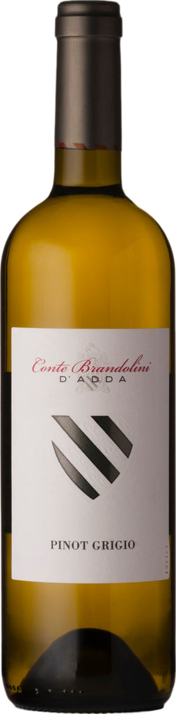 Brandolini Pinot Grigio DOC Friuli 2022 75cl - Buy Brandolini Wines from GREAT WINES DIRECT wine shop