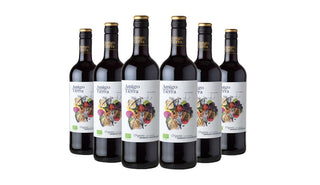 Amigo de la Tierra Tempranillo Organic 2021 Red Wine 75cl x 6 Bottles