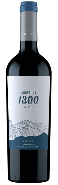 Andeluna 1300, Uco Valley, Merlot 2022 6x75cl - Just Wines 