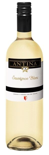 Casa del Valle, 'Antina', Tierra de Castilla, Sauvignon Blanc 2023 75cl - Buy Casa del Valle Wines from GREAT WINES DIRECT wine shop