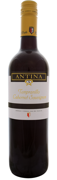 Casa del Valle, Antina, Tierra de Castilla, Tempranillo Cabernet Sauvignon 2021 6x75cl - Just Wines 