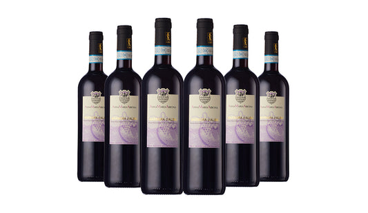 Barbera d'Alba Red Wine 2021 75cl x 6 Bottles - Just Wines 