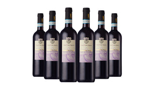 Barbera d'Alba Red Wine 2021 75cl x 6 Bottles