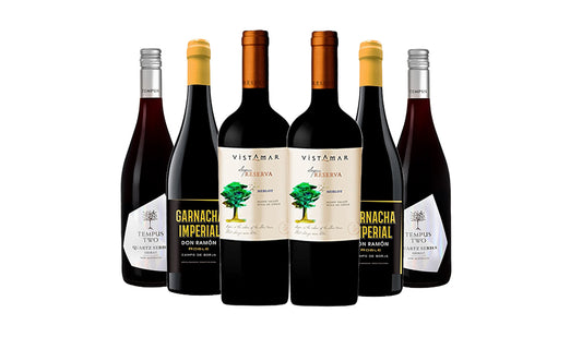 Bestseller Premium Red Wines Mixed - 6 Bottles - Just Wines 