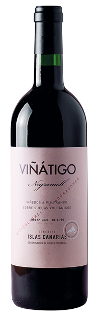 Bodegas Vinatigo, Islas Canarias, Tenerife, Negramoll 2022 75cl - Buy Bodegas Vinatigo Wines from GREAT WINES DIRECT wine shop