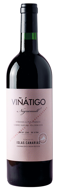 Bodegas Vinatigo, Islas Canarias, Tenerife, Negramoll 2022 6x75cl - Just Wines 