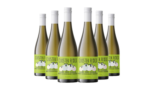 Citizen Cluster Flock White 2022 75cl x 6 Bottles - Just Wines 