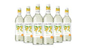 Echo Falls Botanical Fusion Melon & Mint White Wine 75cl x 6 Bottles