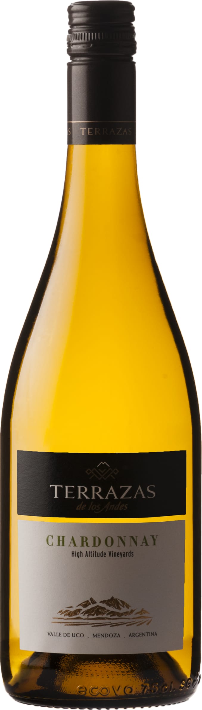 Terrazas Selection Chardonnay 2023 75cl - Buy Terrazas Wines from GREAT WINES DIRECT wine shop