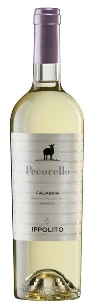 Ippolito 1845 'Pecorello', Calabria 2023 75cl - Buy Ippolito 1845 Wines from GREAT WINES DIRECT wine shop