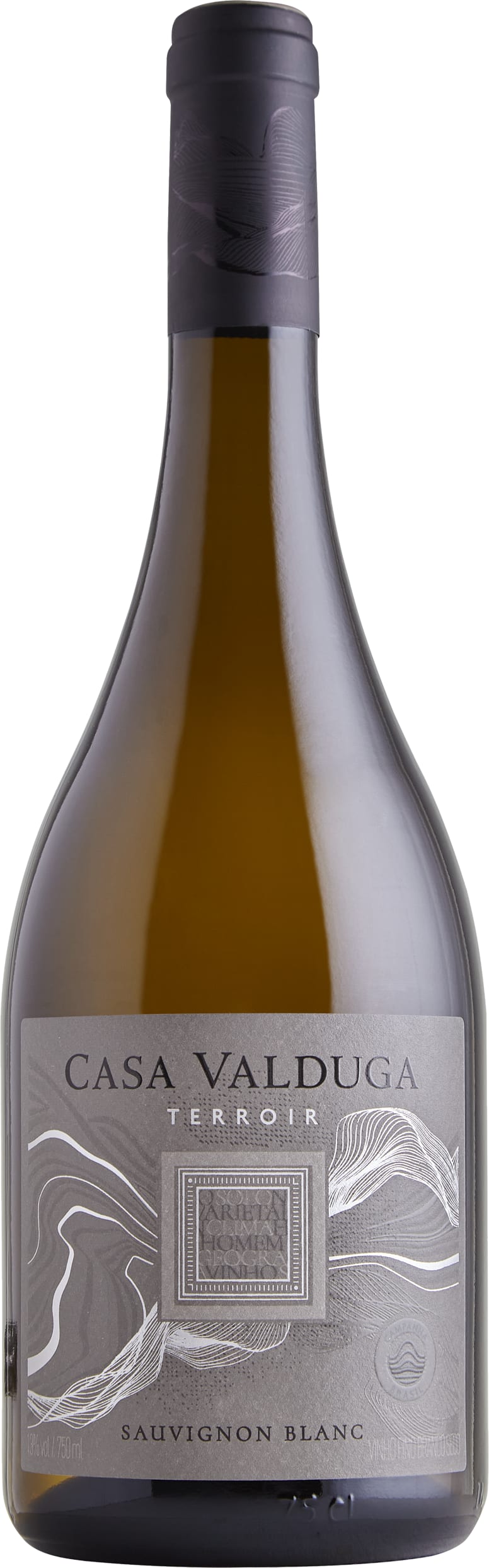 Casa Valduga Terrior Sauvignon Blanc 2022 75cl - Buy Casa Valduga Wines from GREAT WINES DIRECT wine shop