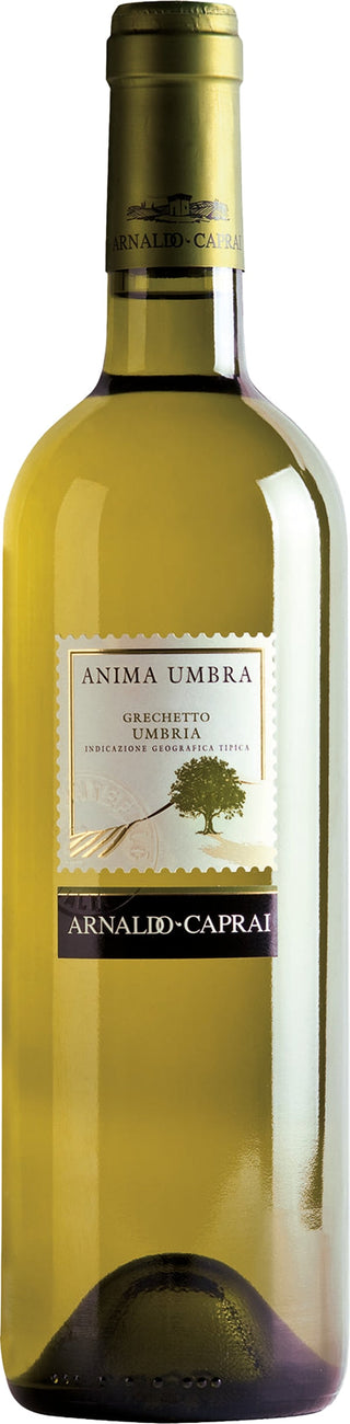 Arnaldo Caprai Anima Umbra Grechetto 2022 6x75cl - Just Wines 