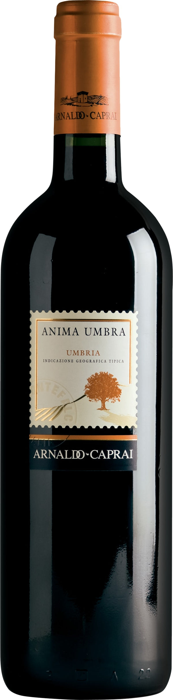 Arnaldo Caprai Anima Umbra Rosso 2019 6x75cl - Just Wines 