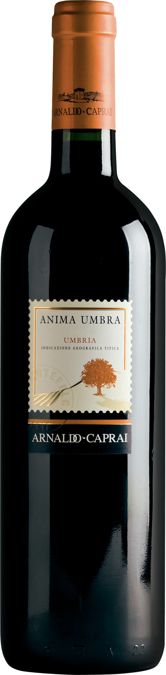 Arnaldo Caprai Anima Umbra Rosso 2020 75cl - Buy Arnaldo Caprai Wines from GREAT WINES DIRECT wine shop