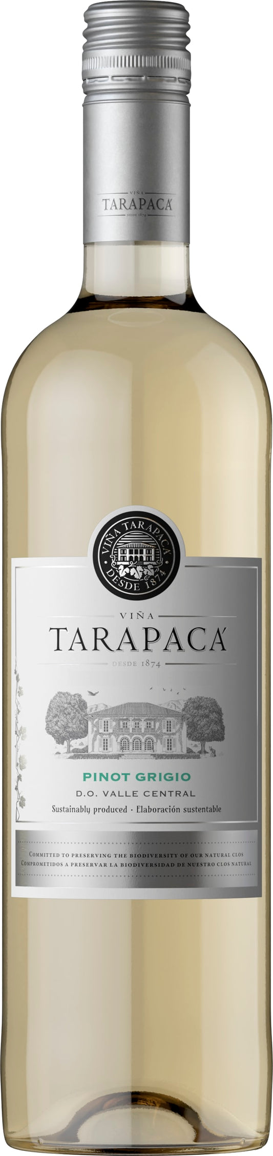 Varietal Pinot Grigio 23 Tarapaca 75cl - Buy Tarapaca Wines from GREAT WINES DIRECT wine shop