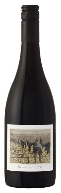 Language of Yes, Santa Maria Valley, Grenache 2020 75cl - Buy Language of Yes Wines from GREAT WINES DIRECT wine shop