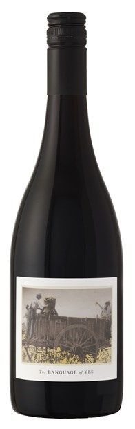 Language of Yes, Santa Maria Valley, Syrah 2020 75cl - Buy Language of Yes Wines from GREAT WINES DIRECT wine shop