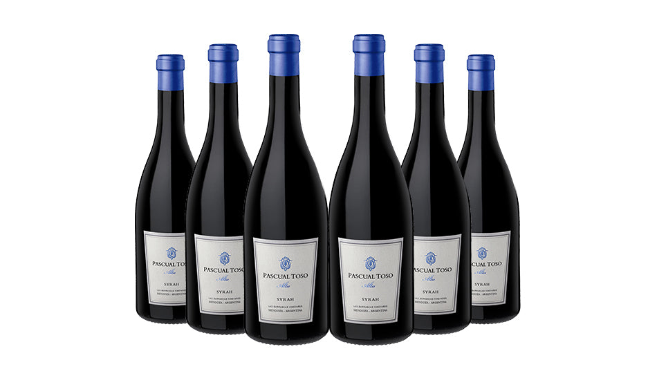 Pascual Toso Alta Syrah Red Wine 75cl x 6 Bottles - Just Wines 