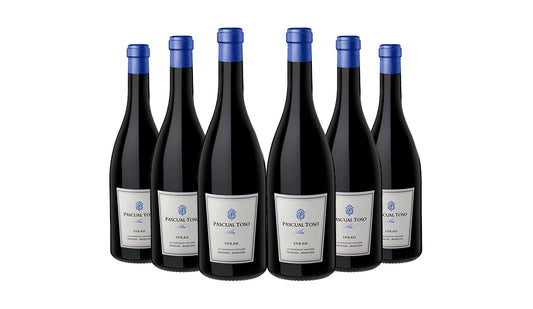 Pascual Toso Alta Syrah Red Wine 75cl x 6 Bottles - Just Wines 