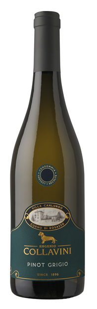 Collavini 'Villa Canlungo', Collio, Friuli-Venezia Giulia, Pinot Grigio 2023 75cl - Buy Collavini Wines from GREAT WINES DIRECT wine shop