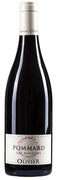 Antoine Olivier, Pommard 2022 75cl - Buy Antoine Olivier Wines from GREAT WINES DIRECT wine shop