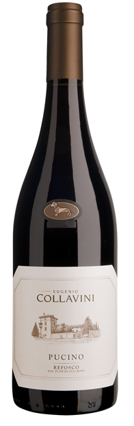 Collavini Pucino, Friuli-Venezia Giulia, Refosco dal Peduncolo Rosso 2023 75cl - Buy Collavini Wines from GREAT WINES DIRECT wine shop