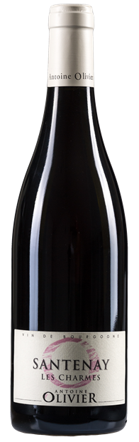 Antoine Olivier, Les Charmes Rouge, Santenay 2022 75cl - Buy Antoine Olivier Wines from GREAT WINES DIRECT wine shop