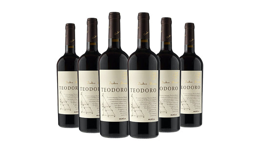 Tenute Murola Teodoro Marche Montepulciano Italy 2019 Red Wine 75cl x 6 Bottles - Just Wines 