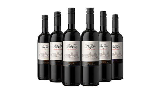 Vina Pelequen Cabernet Sauvignon Red Wine 75cl x 6 Bottles - Just Wines 