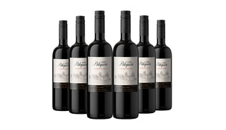 Vina Pelequen Cabernet Sauvignon Red Wine 75cl x 6 Bottles