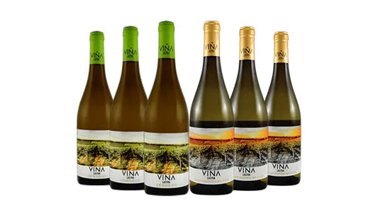 Vina Lastra Mix Case