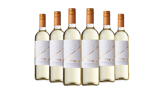 Dry River Chardonnay White Wine 75cl x 6